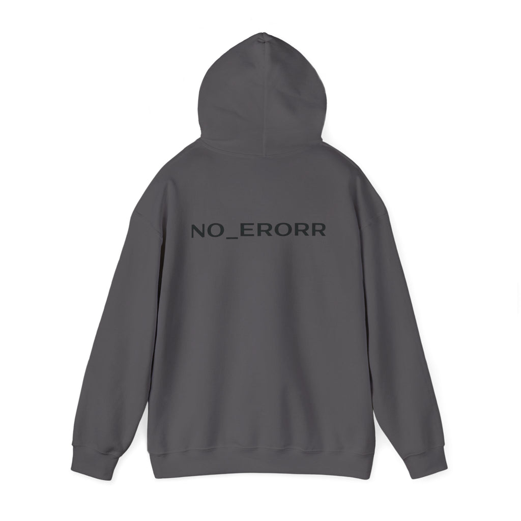 NO_ERORR [ I AM FINE..? / HOODIE ] FROM AFAR EDITION | Version √1
