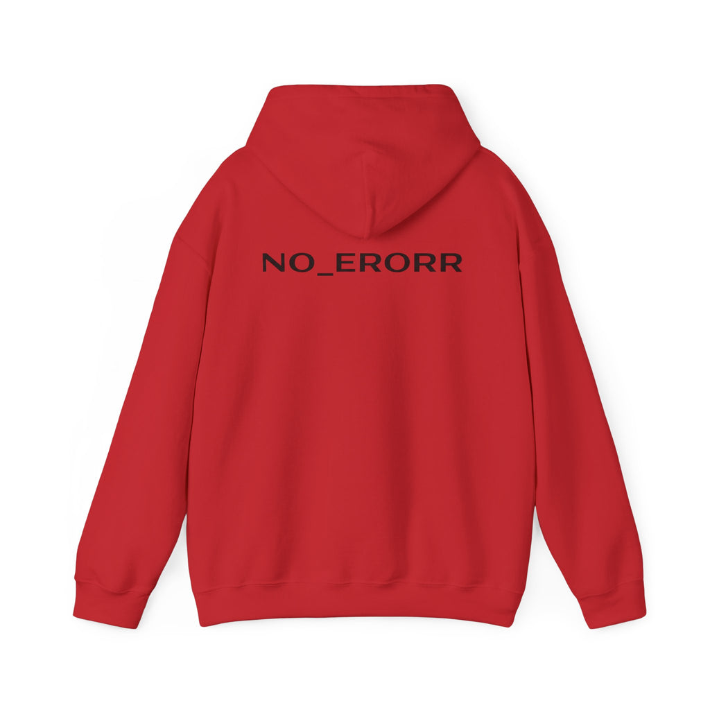 NO_ERORR [ I AM FINE..? / HOODIE ] FROM AFAR EDITION | Version √1