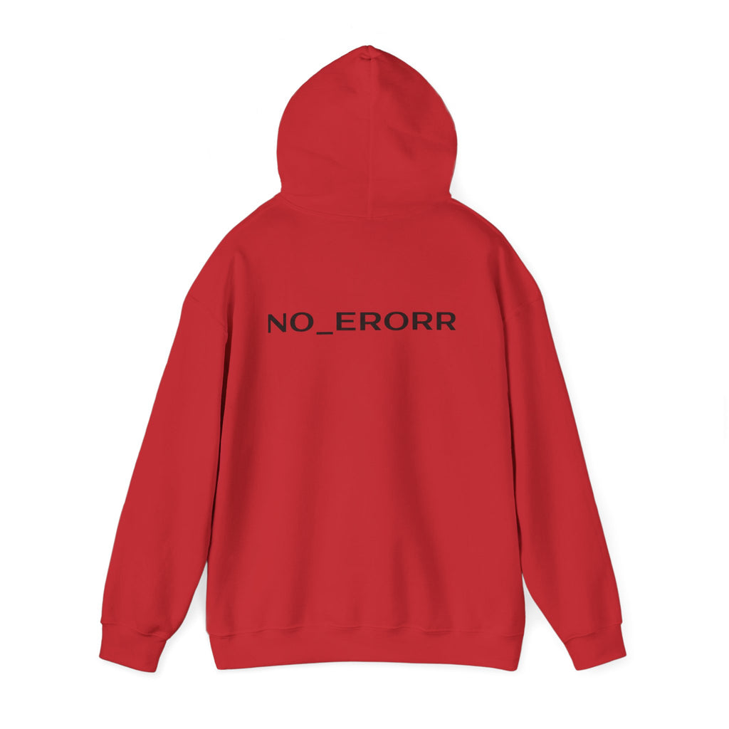 NO_ERORR [ I AM FINE..? / HOODIE ] FROM AFAR EDITION | Version √1